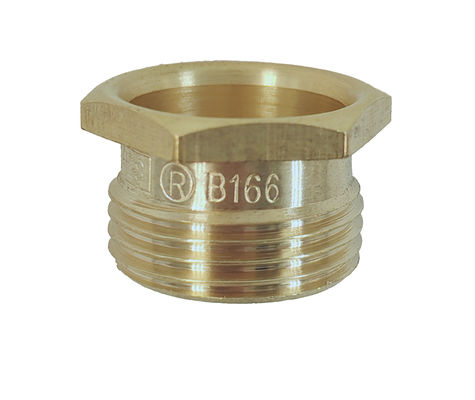 Brass Color Reducing Male Thread Pipe Fixing Fitting