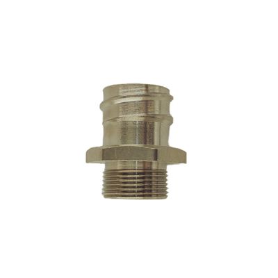 Male Thread Brass Pipe Joint 1 Inch BSPP BSPT NPT Thread ANSI DIN Standard